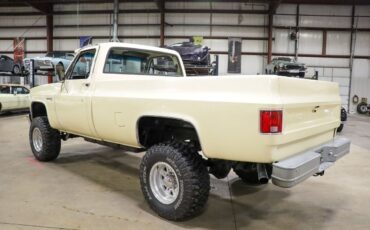 GMC-Sierra-1500-Pickup-1981-Cream-Brown-0-5