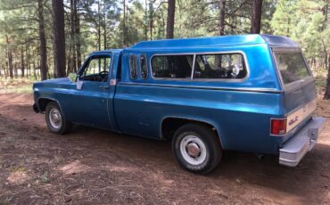 Gmc-Sierra-1500-1979-blue-246229