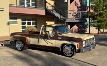 Gmc-Sierra-3500-classic-1980-145042-12