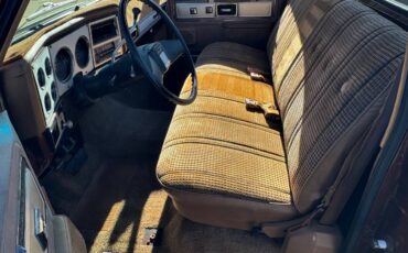 Gmc-Sierra-classic-1980-145124-21