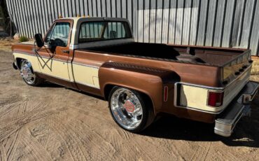 Gmc-Sierra-classic-1980-145124-6