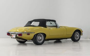 Jaguar-E-Type-1974-Green-Cinnamon-76693-6