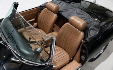 Jaguar-E-Type-Cabriolet-1970-Black-Cinnamon-108209-19