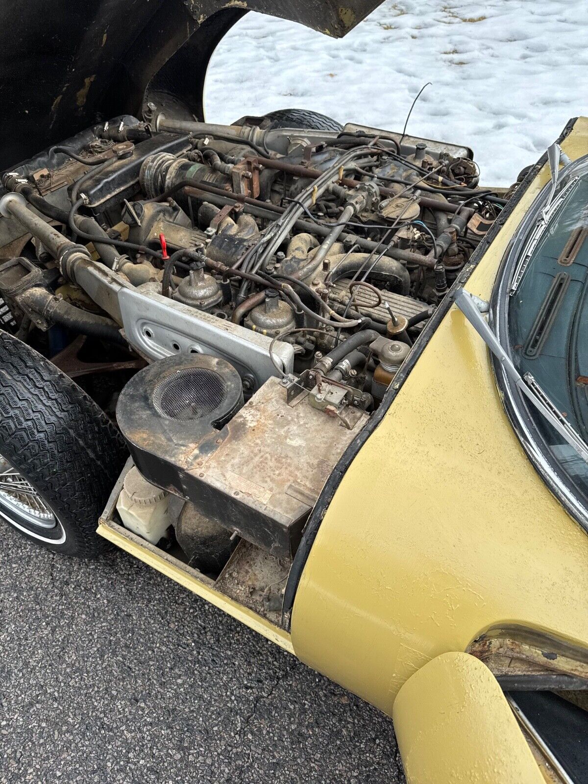 Jaguar-E-Type-Coupe-1973-Sand-Black-64306-9