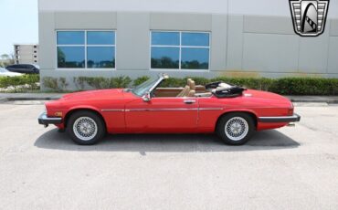 Jaguar-XJ-1990-Red-Tan-104229-4