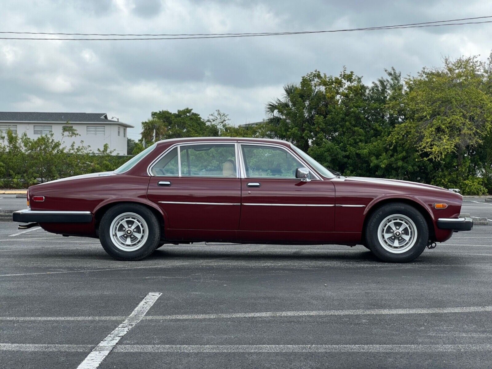 Jaguar-XJ-Berline-1983-41843-19