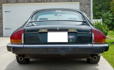 Jaguar-XJ-Coupe-1984-Other-Color-Other-Color-326938-6