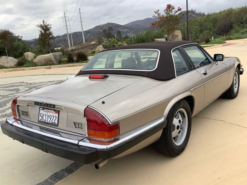 Jaguar-XJ8-Cabriolet-1988-Gold-Brown-45528-11