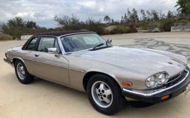 Jaguar-XJ8-Cabriolet-1988-Gold-Brown-45528-8