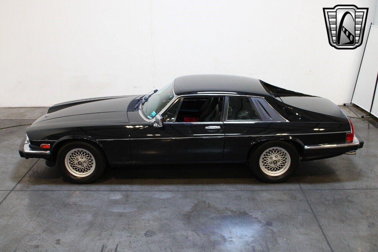 Jaguar-XJS-1989-Black-Black-141560-9