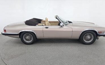 Jaguar-XJS-1991-Gold-Tan-71458-10