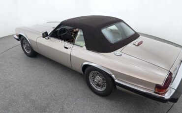 Jaguar-XJS-1991-Gold-Tan-71458-16