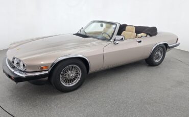 Jaguar-XJS-1991-Gold-Tan-71458-5