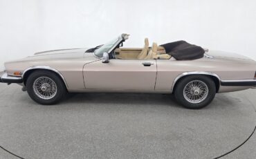 Jaguar-XJS-1991-Gold-Tan-71458-6