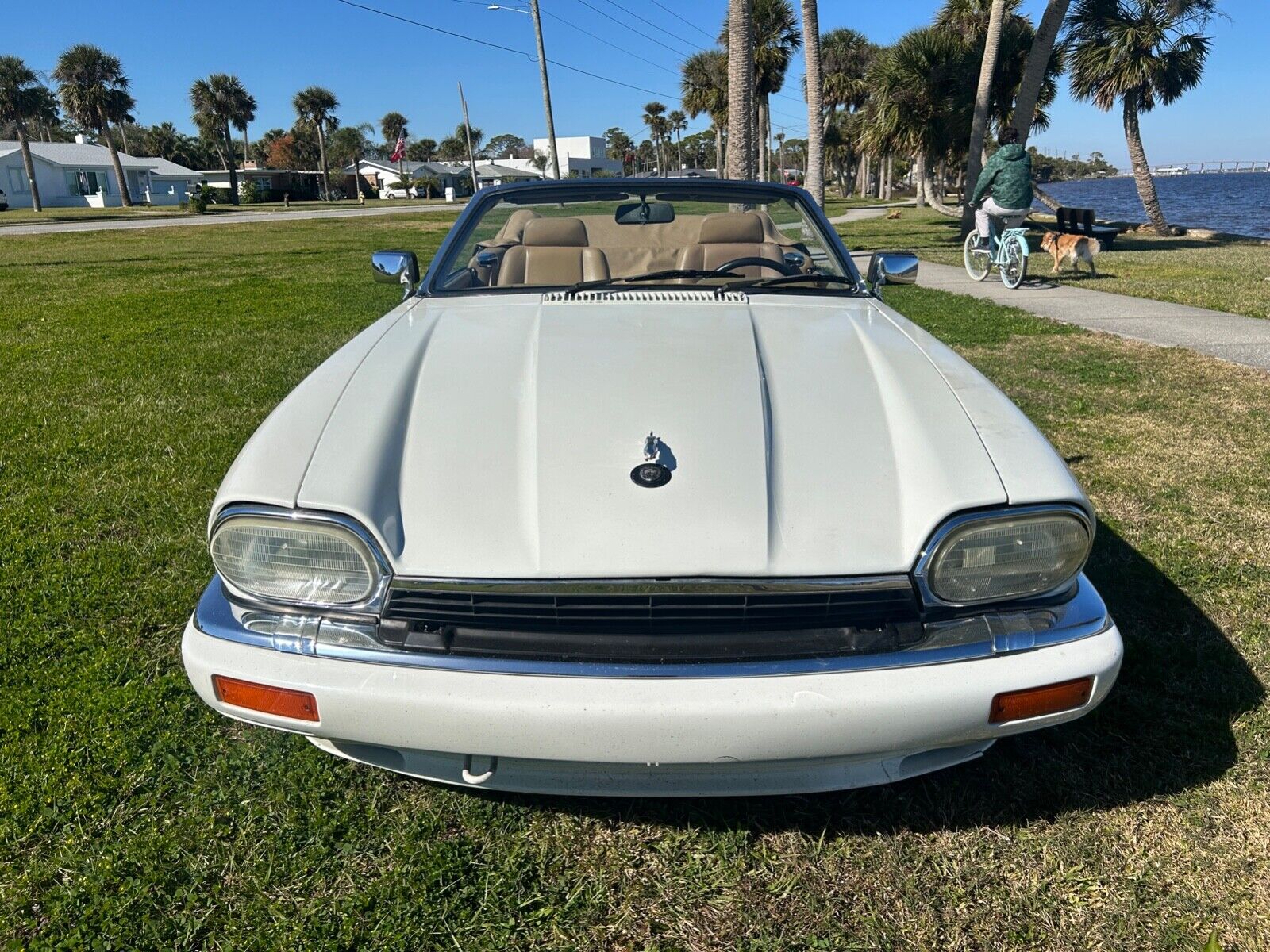 Jaguar-XJS-Cabriolet-1994-White-106767-2