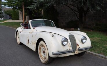 Jaguar XK  1954