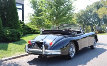 Jaguar-XK-1959-Black-Brown-0-4