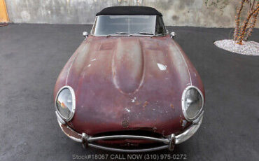 Jaguar-XK-1964-Brown-Other-Color-0-8