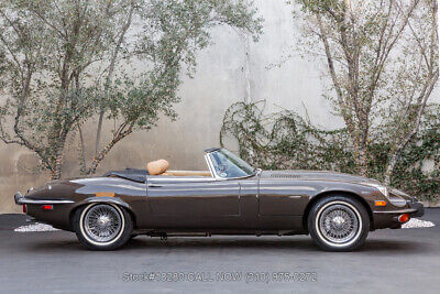 Jaguar-XK-1973-Black-Other-Color-0-3