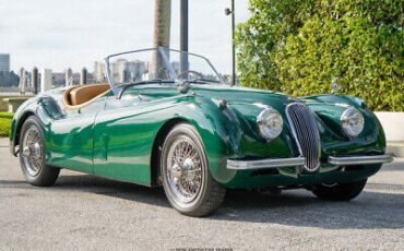 Jaguar-XK-Cabriolet-1953-Other-Color-Other-Color-1819-11