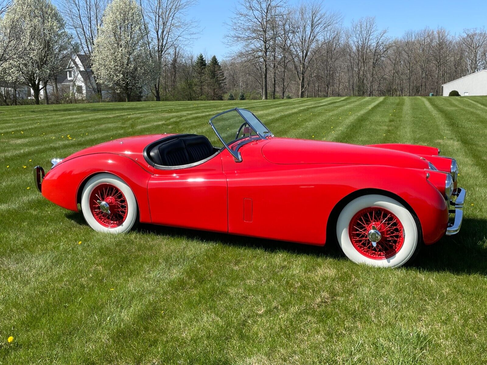 Jaguar-XK-Cabriolet-1954-Red-Black-45459-15