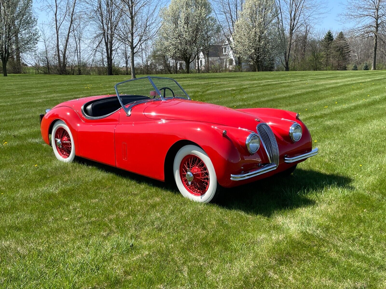 Jaguar-XK-Cabriolet-1954-Red-Black-45459-16