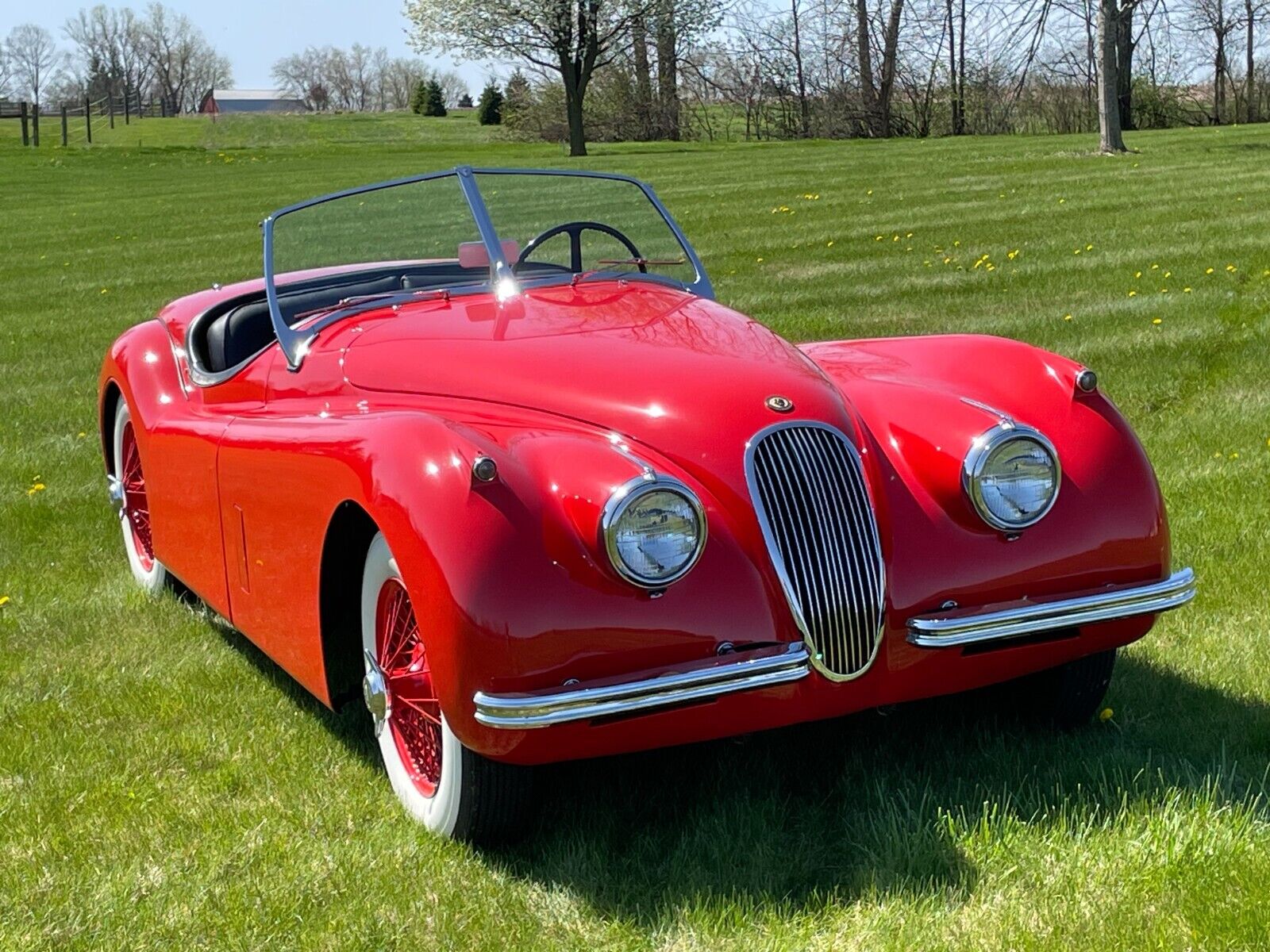 Jaguar-XK-Cabriolet-1954-Red-Black-45459-17