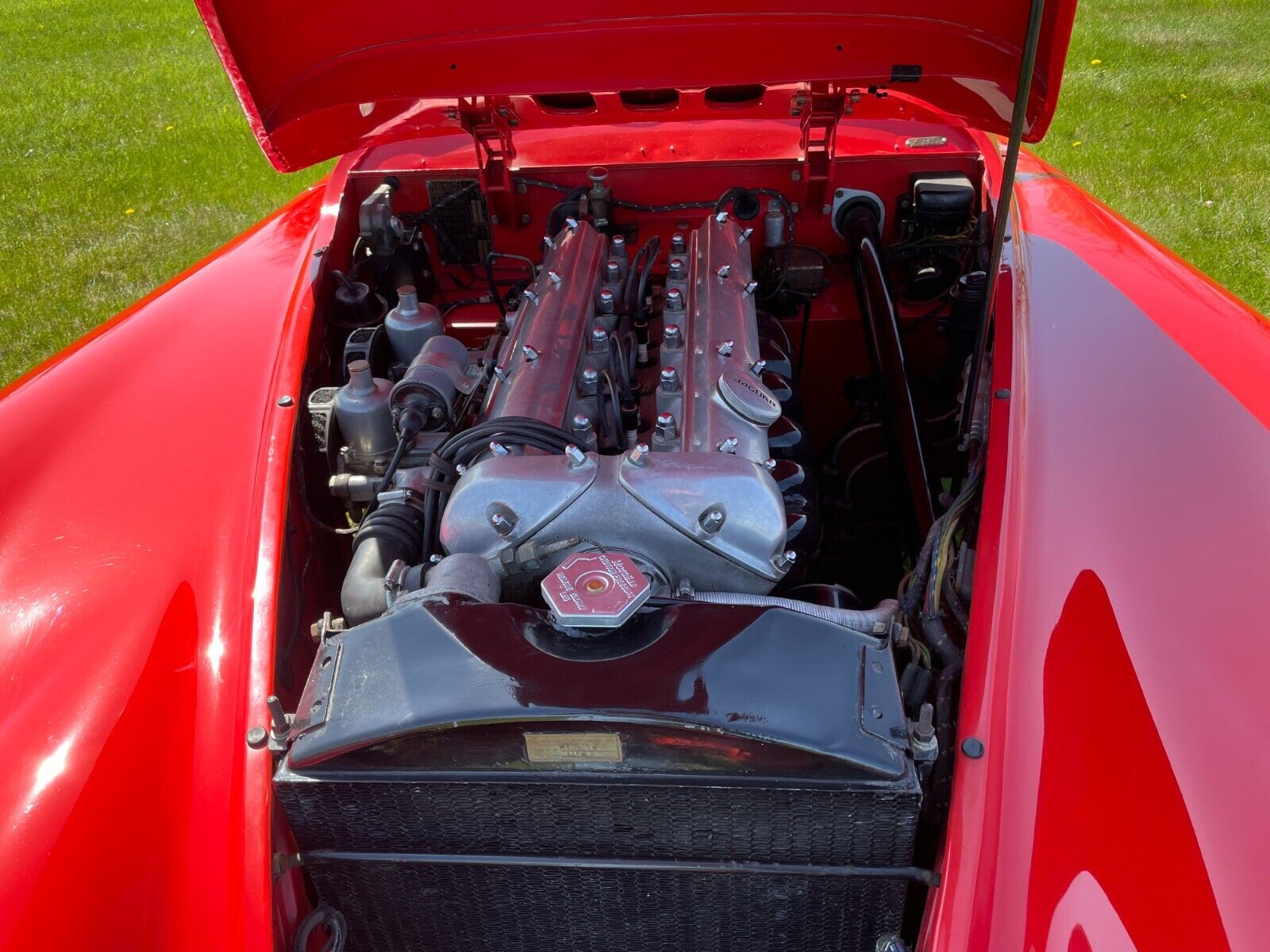 Jaguar-XK-Cabriolet-1954-Red-Black-45459-24