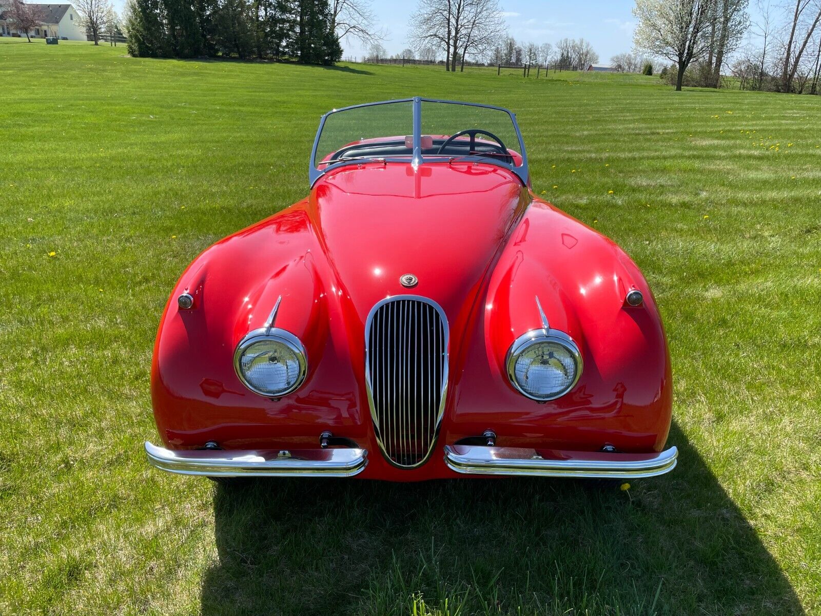 Jaguar-XK-Cabriolet-1954-Red-Black-45459-7