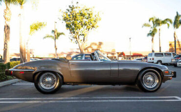 Jaguar-XK-Cabriolet-1974-Other-Color-Other-Color-37337-8