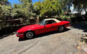 Jaguar-Xjs-convertible-1994-red-61155-11