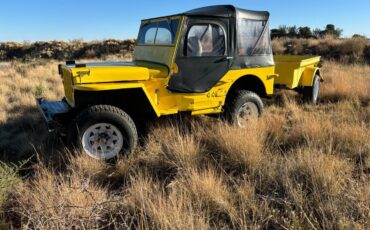 Jeep-1945-yellow-2253-5