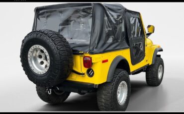 Jeep-CJ-1977-517818-6