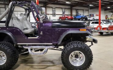 Jeep-CJ-1979-Purple-Gray-3272-10