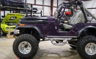 Jeep-CJ-1979-Purple-Gray-3272-2