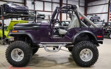 Jeep-CJ-1979-Purple-Gray-3272-3