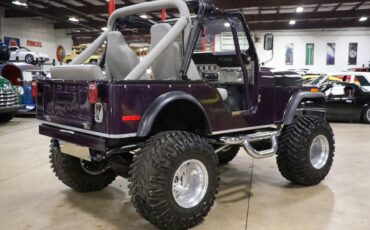 Jeep-CJ-1979-Purple-Gray-3272-7