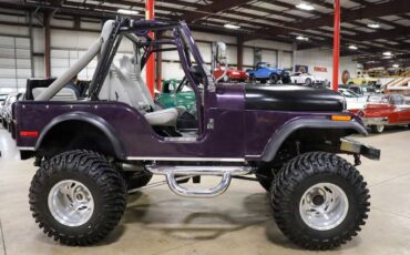 Jeep-CJ-1979-Purple-Gray-3272-9