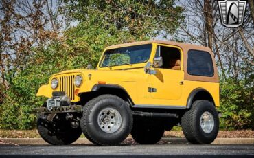 Jeep-CJ-1979-Yellow-Brown-135544-2