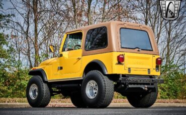 Jeep-CJ-1979-Yellow-Brown-135544-4