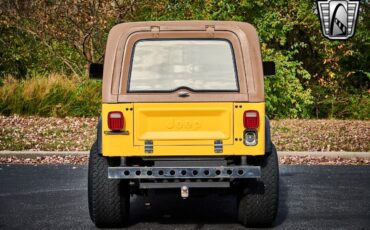 Jeep-CJ-1979-Yellow-Brown-135544-5