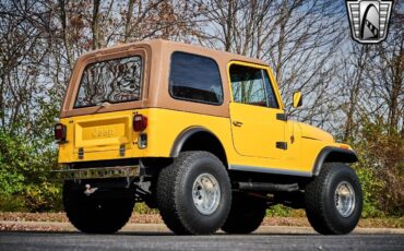 Jeep-CJ-1979-Yellow-Brown-135544-6