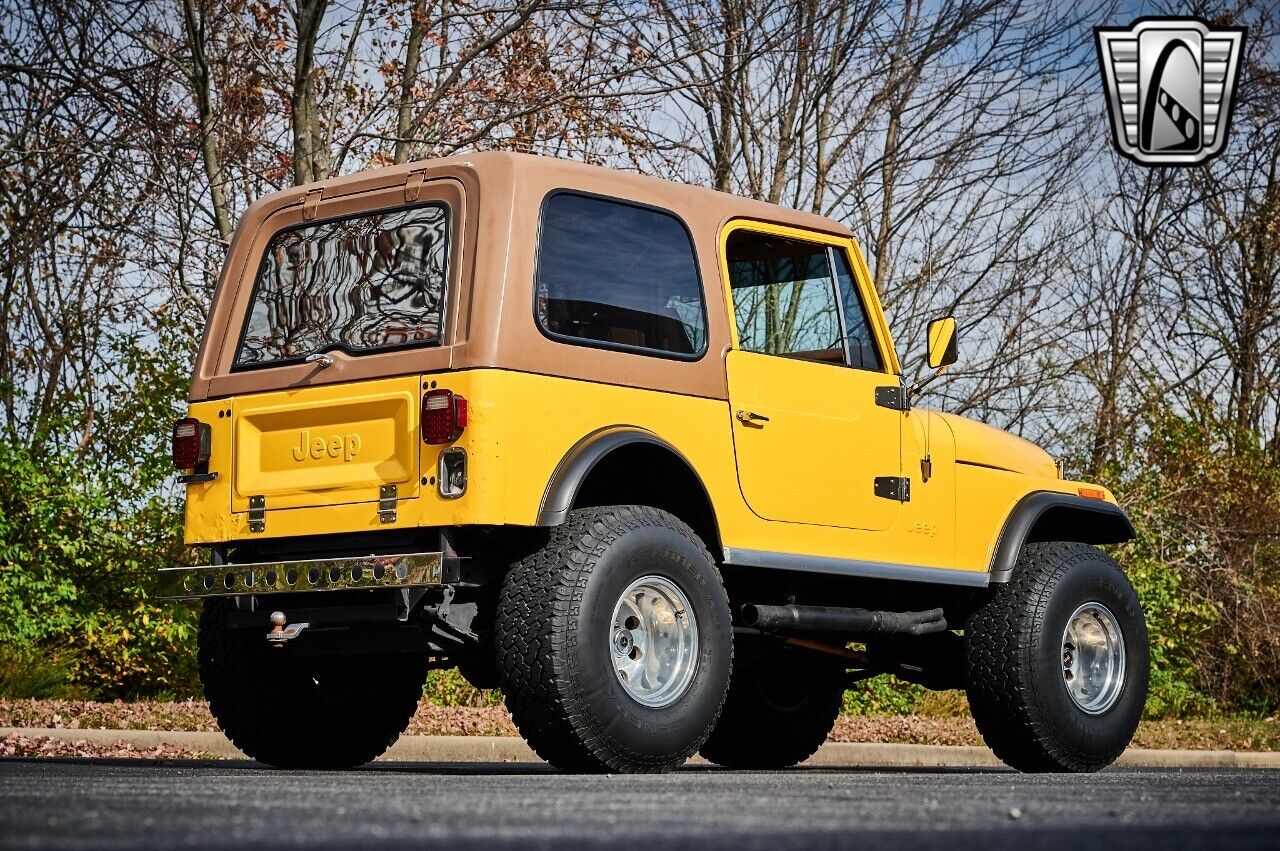 Jeep-CJ-1979-Yellow-Brown-135544-6