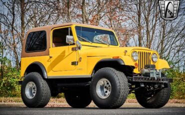 Jeep-CJ-1979-Yellow-Brown-135544-8