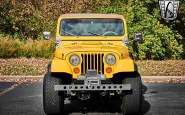 Jeep-CJ-1979-Yellow-Brown-135544-9