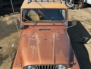 Jeep-CJ-1983-Brown-407483-2