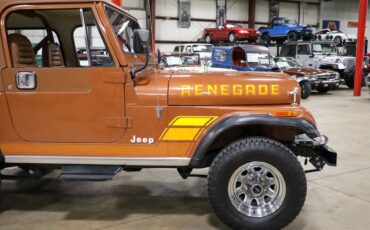 Jeep-CJ-1983-Brown-Brown-228813-10