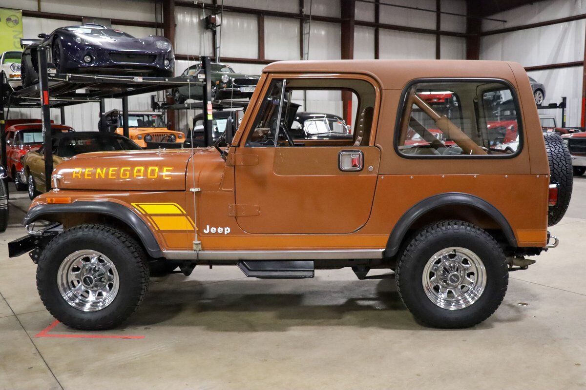 Jeep-CJ-1983-Brown-Brown-228813-3