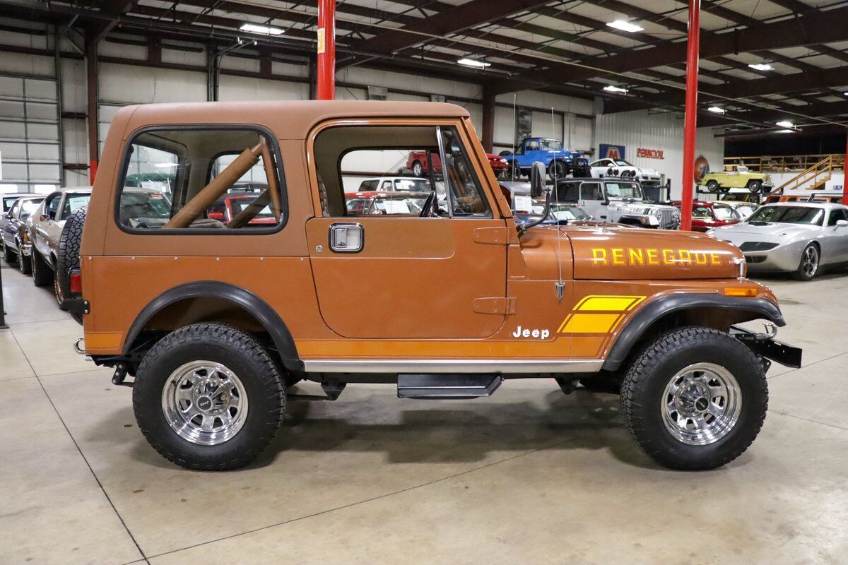 Jeep-CJ-1983-Brown-Brown-228813-9