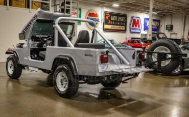 Jeep-CJ-1983-Silver-Black-138156-2